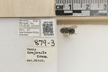 Media type: image;   Entomology 794984 Aspect: Labels